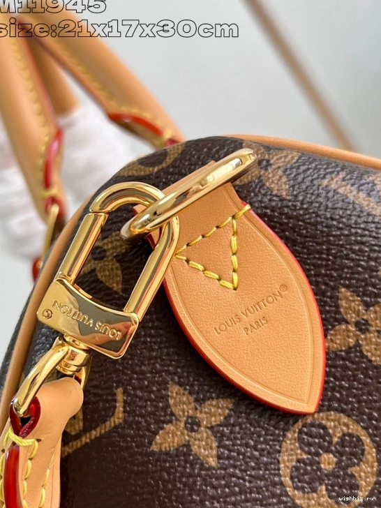 WIS Crafty Speedy Soft Vuitton 30 Louis 0317